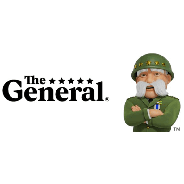 the general insurance logo